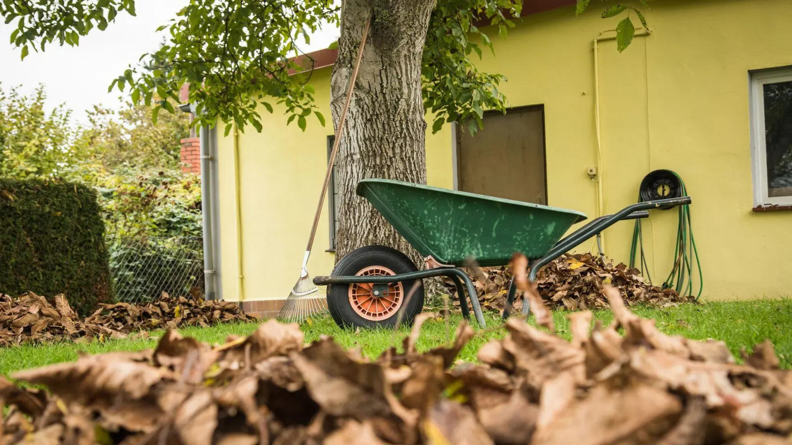 Ruhe vor dem Sturm: Bevor die stürmische Jahreszeit beginnt, sollten die Bäume auf dem Grundstück gründlich in Augenschein genommen werden. (Foto: Christin Klose/dpa-tmn)
