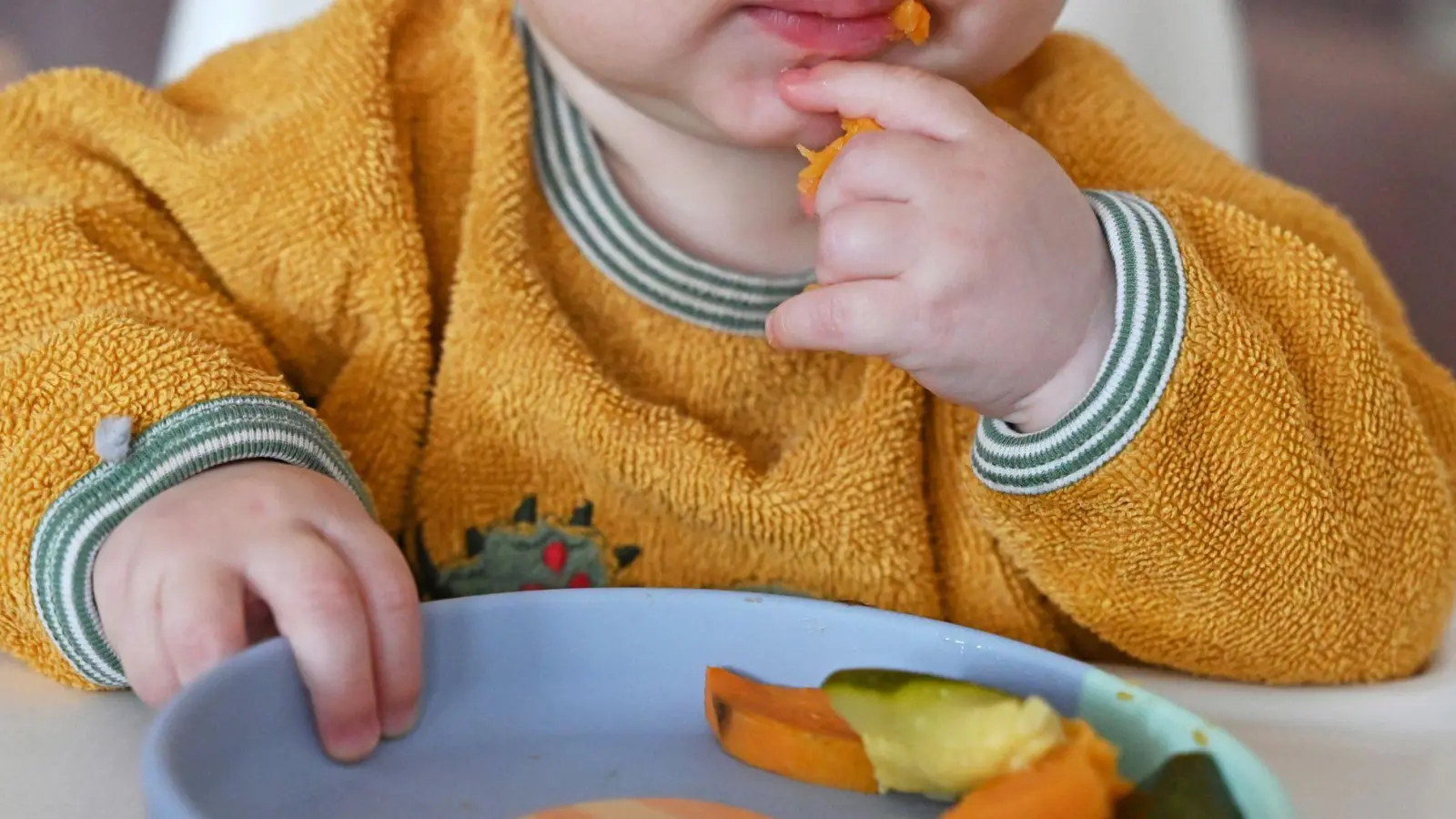 Vom Brei zum Familienessen: Am Tisch lernen Kleinkinder nicht nur kauen, sondern schauen sich auch ab, wie es die Großen machen. (Foto: Elisa Schu/dpa/dpa-tmn)