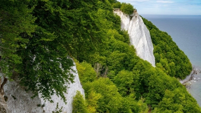 Der Königsstuhl an der Kreideküste im Nationalpark Jasmund ist ein Wahrzeichen der Insel Rügen. (Foto: Stefan Sauer/dpa-Zentralbild/dpa-tmn)