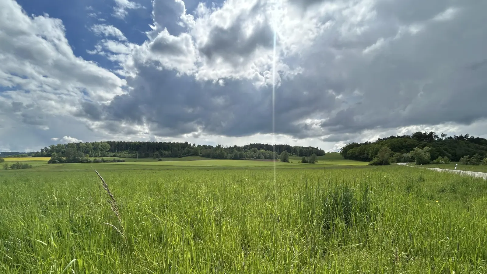 Auf diesem Areal bei Krobshausen soll die Groß-Biogasanlage entstehen. Die Interessengemeinschaft LandWert Frankenhöhe hat ihre Meinung dazu klar formuliert.  (Archivbild: Florian Pöhlmann)