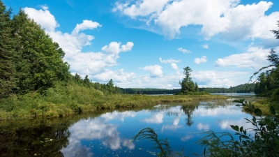 Spiegelzauber im Seenland: Der Haliburton Forest ist mit seiner landschaftlichen Vielfalt auch was fürs Auge - bei Schönwetter in jedem Fall. (Foto: Andreas Drouve/dpa-tmn)