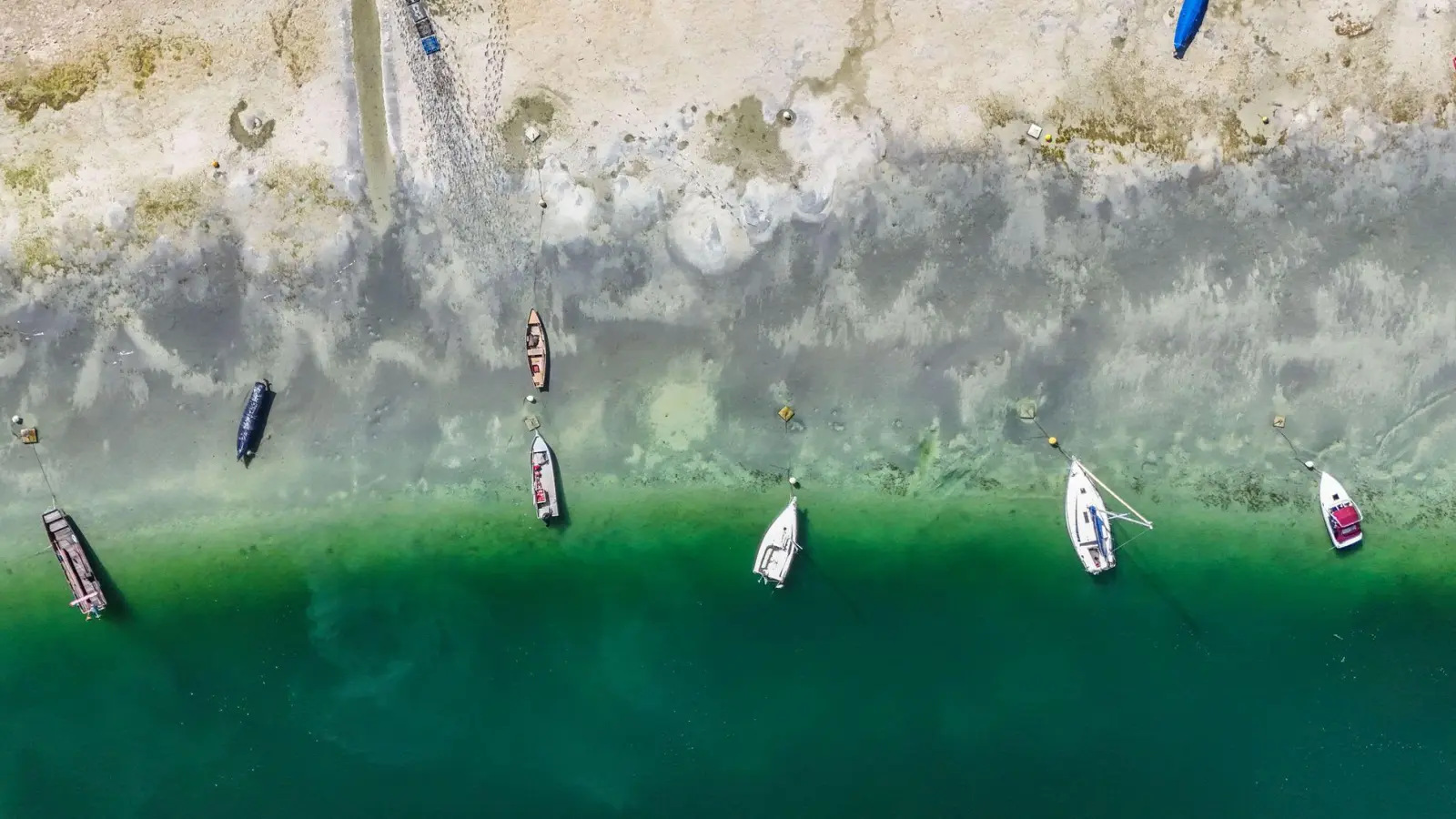 Die Trockenheit sorgt für niedrige Wasserstände am Bodensee. (Symbolbild)  (Foto: Marius Bulling/onw-images/dpa)