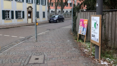 Die ersten Wahlplakate stehen in der Stadt – wie hier nahe dem Gymnasium Carolinum. (Foto: Oliver Herbst)