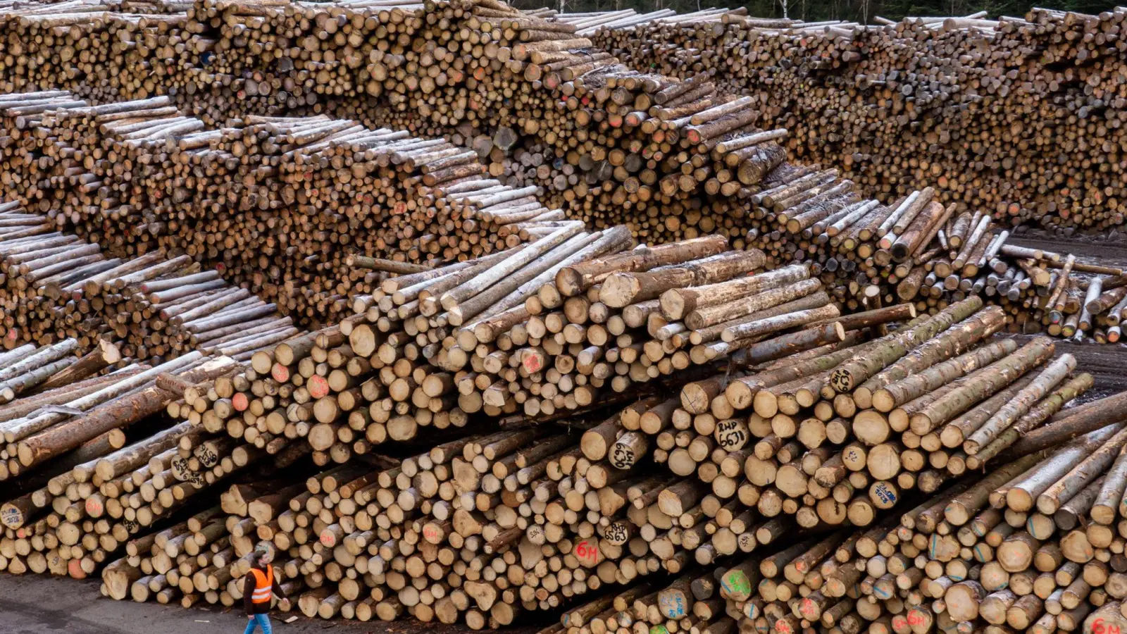 Konkursverschleppung steht als möglicher Straftatbestand im Raum. (Symbolbld)  (Foto: Armin Weigel/dpa)