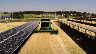 So in etwa muss man sich die Doppelnutzung vorstellen: Links und rechts PV-Module mit Biodiversitätsstreifen darunter, dazwischen eine Trasse, die landwirtschaftlich genutzt wird. (Foto: Firma Doppelernte)