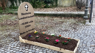 Hinweise auf den oder die Urheber fehlen. Dafür ist die vorgebliche Grabstelle mit Erde bedeckt und mit Blumen geschmückt. (Foto: Oliver Herbst)