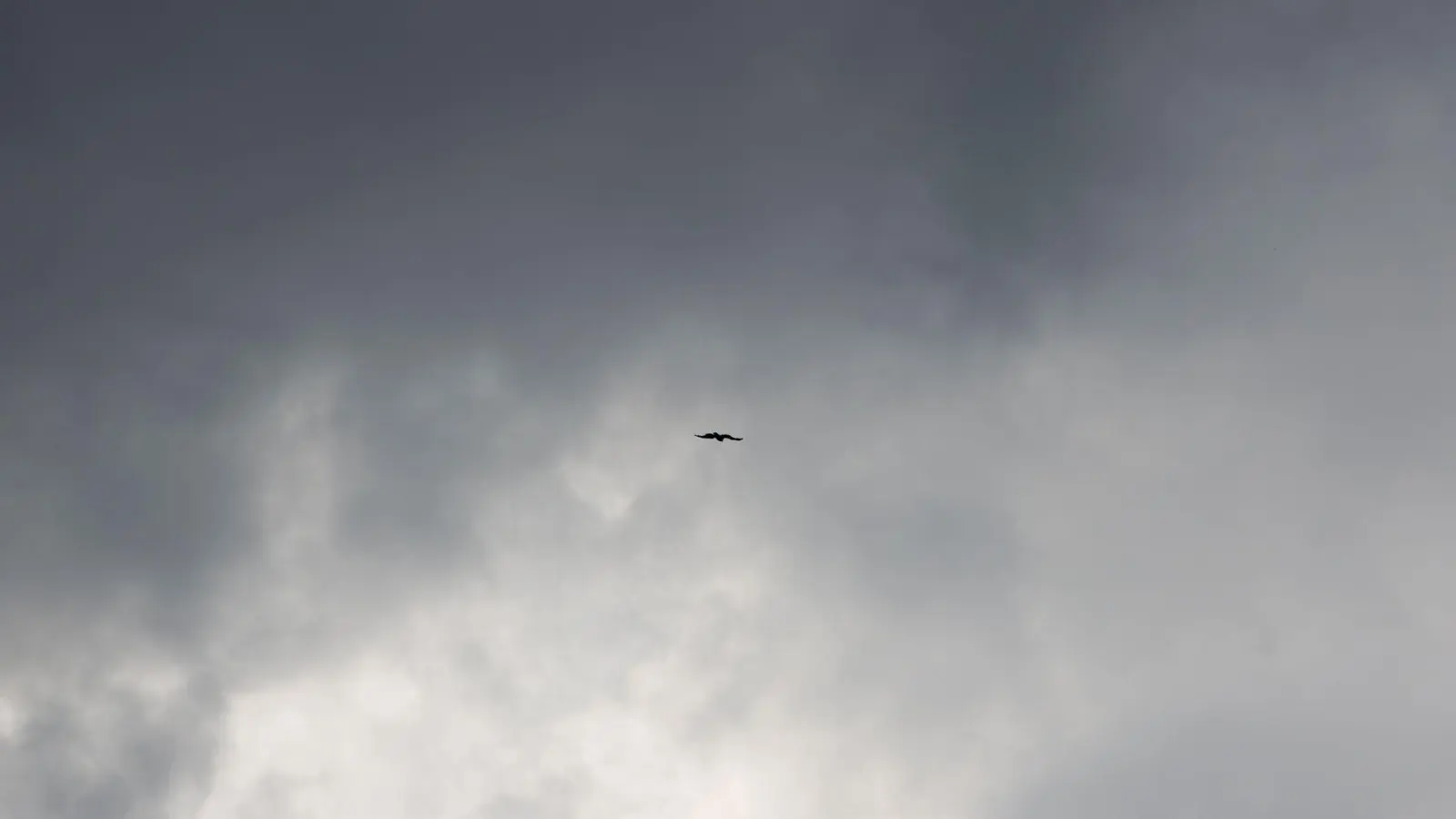 Der Südosten Brasiliens wurde vom Windsturm stark betroffen. (Symbolbild) (Foto: Rolf Vennenbernd/dpa)