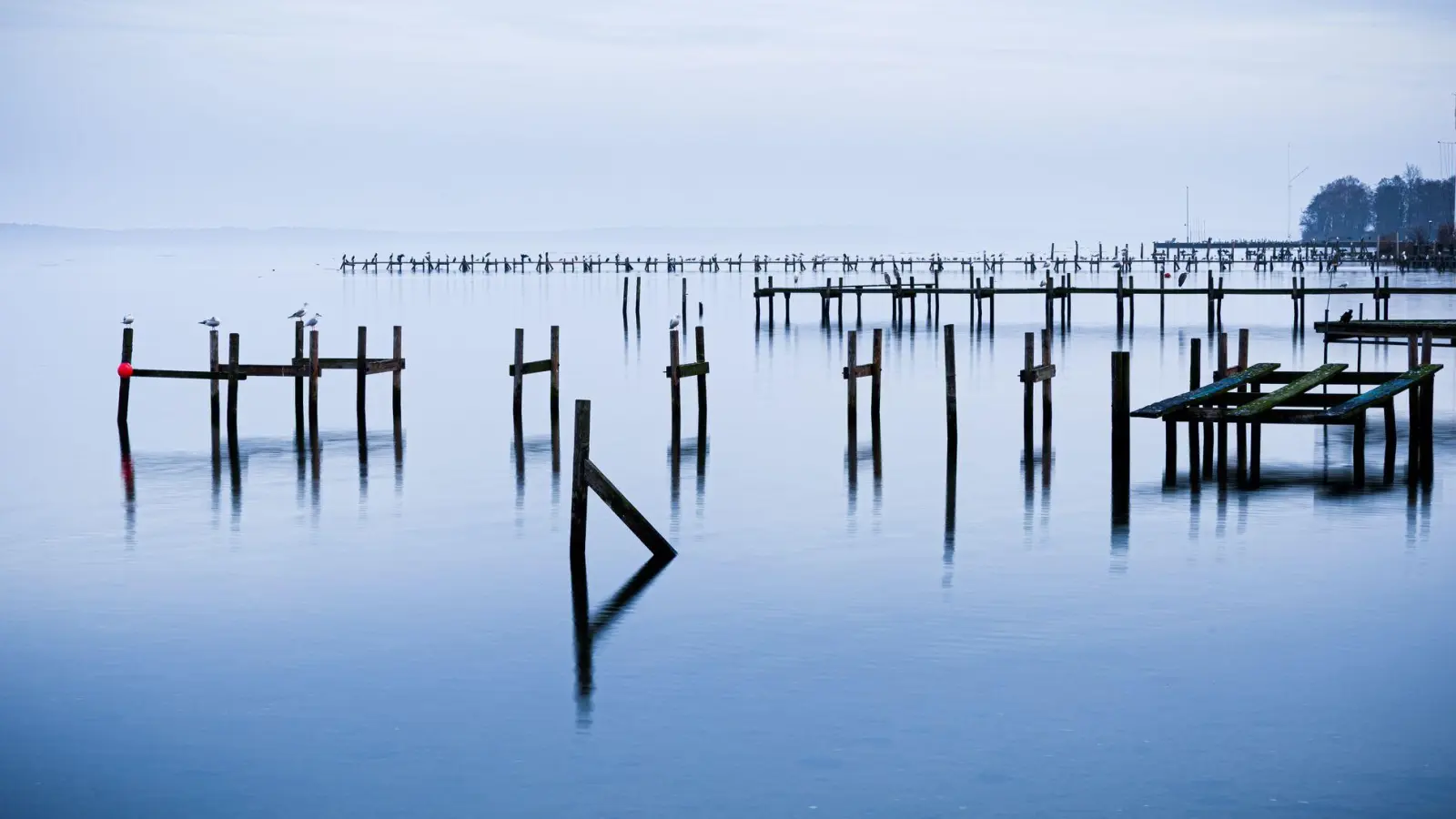 Wasserlandschaft: Pfähle einer abgebauten Steganlage ragen aus dem Steinhuder Meer. (Foto: Moritz Frankenberg/dpa)