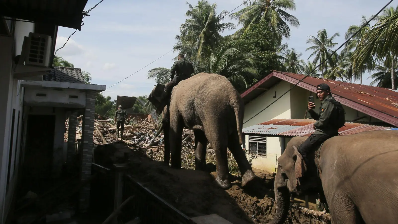 In den betroffenen Gebieten im Norden Sumatras gibt es stellenweise nur für Elefanten ein Durchkommen.  (Foto: Ahyar Tarmizi/AP/dpa)