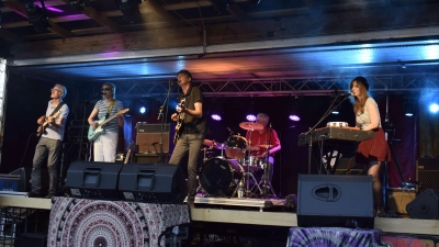 The Royal Flares waren aus München zum Open Air in Immeldorf gekommen: fünf tolle Musiker, die mit spannenden Bassläufen, tollem Harmoniegesang und einer Menge Energie das Publikum abholten.  (Foto: Christina Özbek)