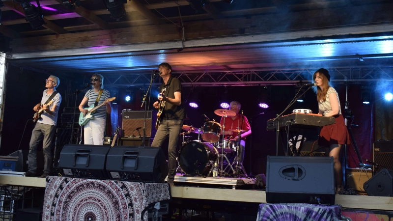 The Royal Flares waren aus München zum Open Air in Immeldorf gekommen: fünf tolle Musiker, die mit spannenden Bassläufen, tollem Harmoniegesang und einer Menge Energie das Publikum abholten.  (Foto: Christina Özbek)