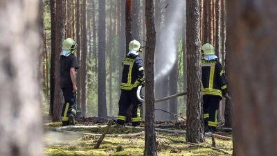 Wenn es im Wald brennt, ist Handeln gefragt. Umso wichtiger, dass man mit dem richtigen Verhalten Brände verhindern kann. (Foto: Patrick Pleul/dpa/dpa-tmn)