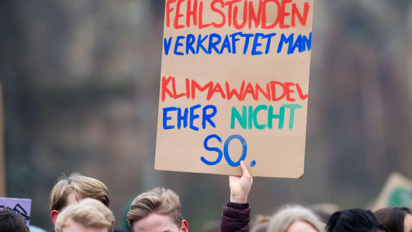 2019 gingen regelmäßig tausende Schülerinnen und Schüler für Fridays For Future auf die Straße. (Archivbild) (Foto: Klaus-Dietmar Gabbert/dpa-Zentralbild/ZB)