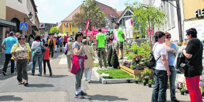 Foto: Evi Schlötterer