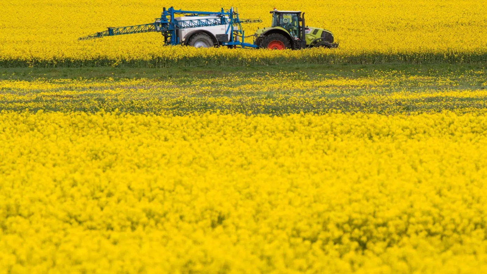 Auch die Erzeugerpreise für landwirtschaftliche Produkte sind zuletzt deutlich gestiegen. (Foto: Jens Büttner/dpa-Zentralbild/dpa)