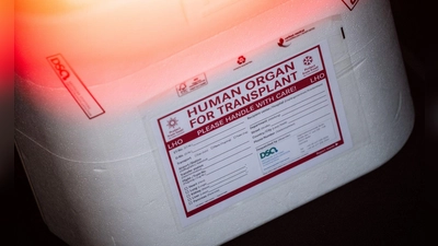 In Neapel braucht der kleine Junge dringend ein neues Spenderherz. (Illustration) (Foto: Sebastian Gollnow/dpa)