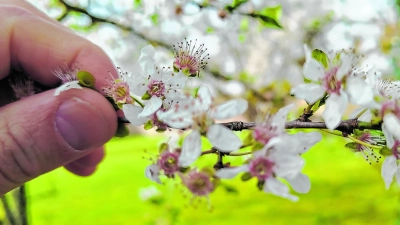 Vorfreude pur: In den nächsten Wochen und Monaten sind wieder viele schöne Projekte im Grünen möglich. (Foto: Christian Treffer)