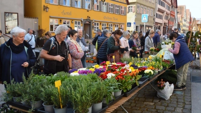 Josephi-Jahrmarkt, Samenfest und verkaufsoffener Sonntag: Am 15. März startet Dinkelsbühl in die Freiluftsaison. (Foto: Peter Tippl)