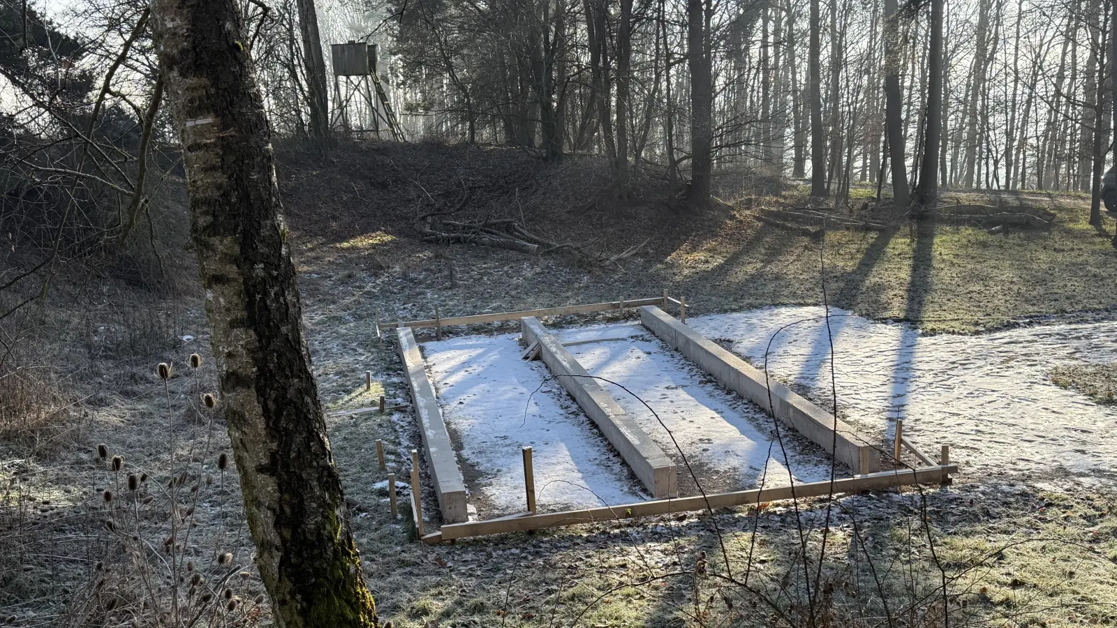 Die Fläche auf der Waldlichtung oberhalb von Hohenberg, auf der die Schutzhütte für den Herrieder Waldkindergarten errichtet werden soll, ist bereits vorbereitet. (Foto: Florian Pöhlmann)