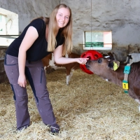Bei den Kälbern könnte Laura Schneider ganze Tage verbringen. (Foto: Antonia Müller)