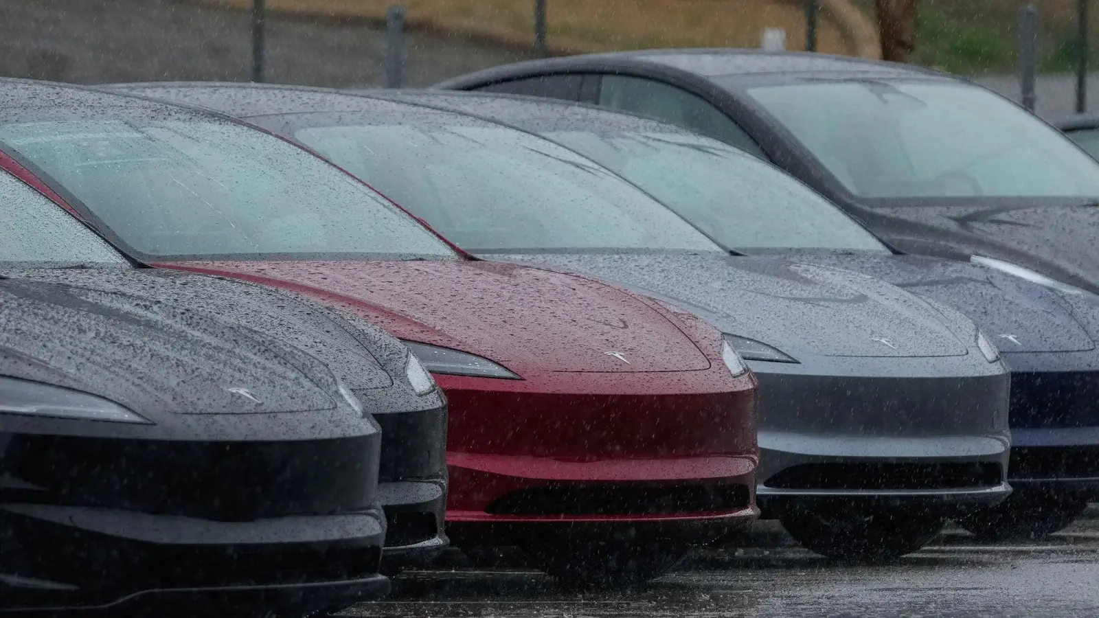 Um den Namen von Teslas Assistenzsystem „Autopilot“ gibt es schon lange Streit. (Archivbild) (Foto: Godofredo A. Vásquez/AP/dpa)