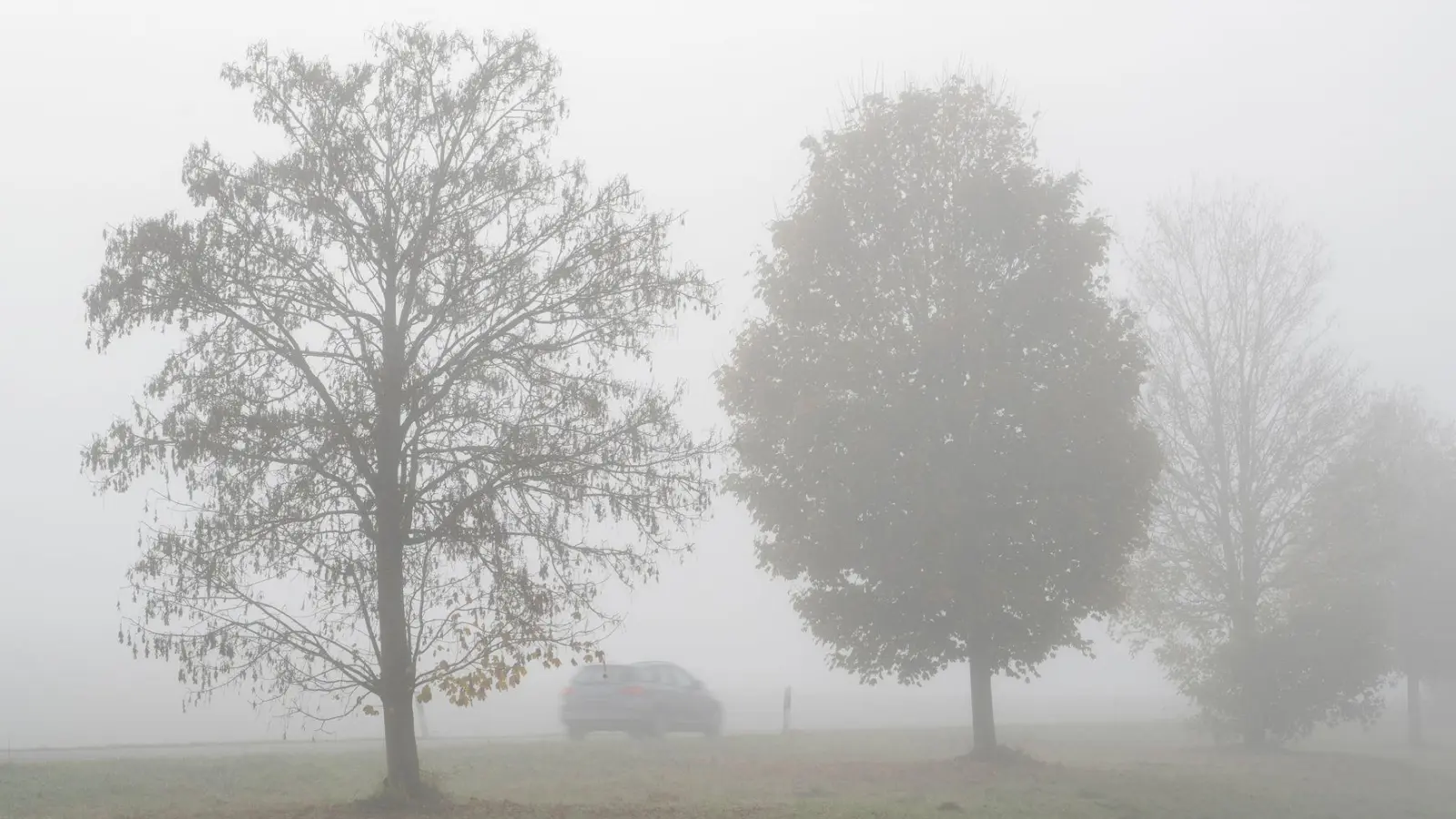 Nebel prägt in diesen Tagen vielerorts das Wetter im Freistaat. (Archivbild) (Foto: Stefan Puchner/dpa)