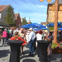 Besucherinnen und Besucher dürfen sich auf ein tolles Programm freuen.  (Foto: Peter Tippl)