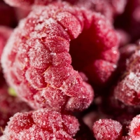 Um eventuelle Keime abzutöten, empfiehlt es sich, Tiefkühlbeeren vor dem Verzehr für einige Minuten bei 90 Grad zu erhitzen.  (Foto: Franziska Gabbert/dpa-tmn)