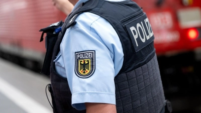 Die Bundespolizei nahm die drei Jugendlichen mit aufs Revier, die Identität des vierten Beteiligten muss noch ermittelt werden. (Symbolbild) (Foto: Sven Hoppe/dpa)
