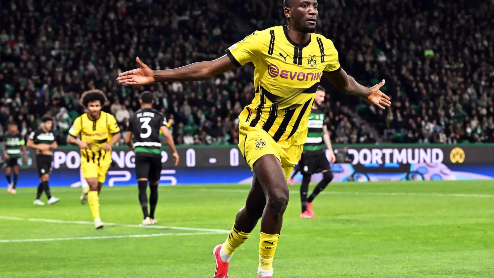 Serhou Guirassy brachte den BVB in Führung (Foto: Federico Gambarini/dpa)