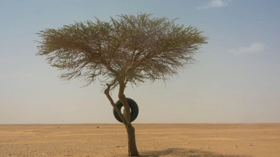 An der Grenze zwischen Saudi-Arabien und dem Jemen sollen Sprengwaffen gegen Migranten eingesetzt werden. (Symbolbild) (Foto: Jerome Delay/AP/dpa)