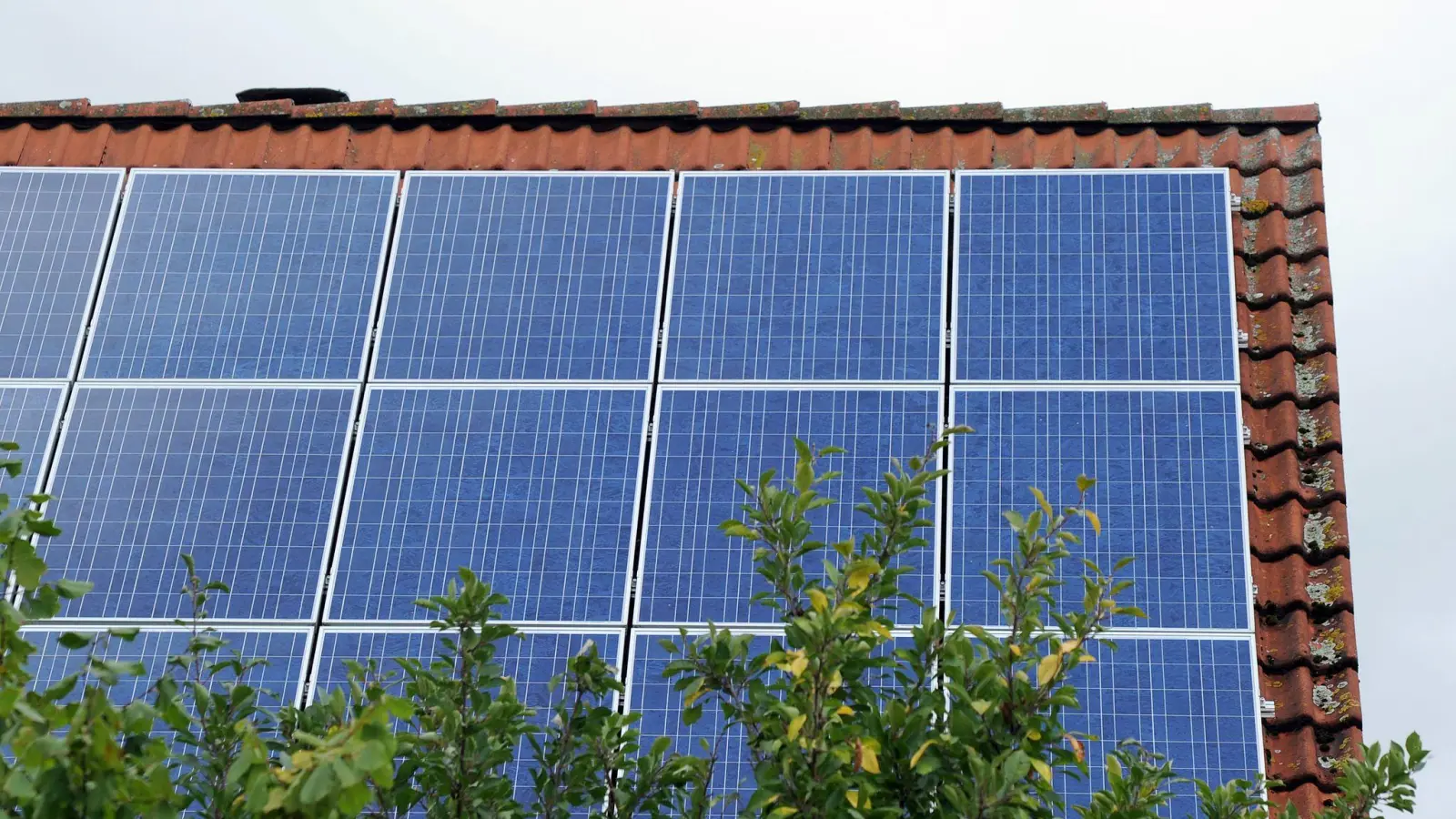 Bis Ende September wurde in Deutschland mehr Solarstrom erzeugt als im gesamten Vorjahr. (Symbolbild) (Foto: Caroline Seidel/dpa)