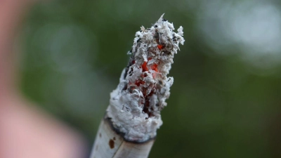 Das Cannabis-Gesetz der Ampel-Koalition kann wie vorgesehen am 1. April in Kraft treten. (Foto: Karl-Josef Hildenbrand/dpa)