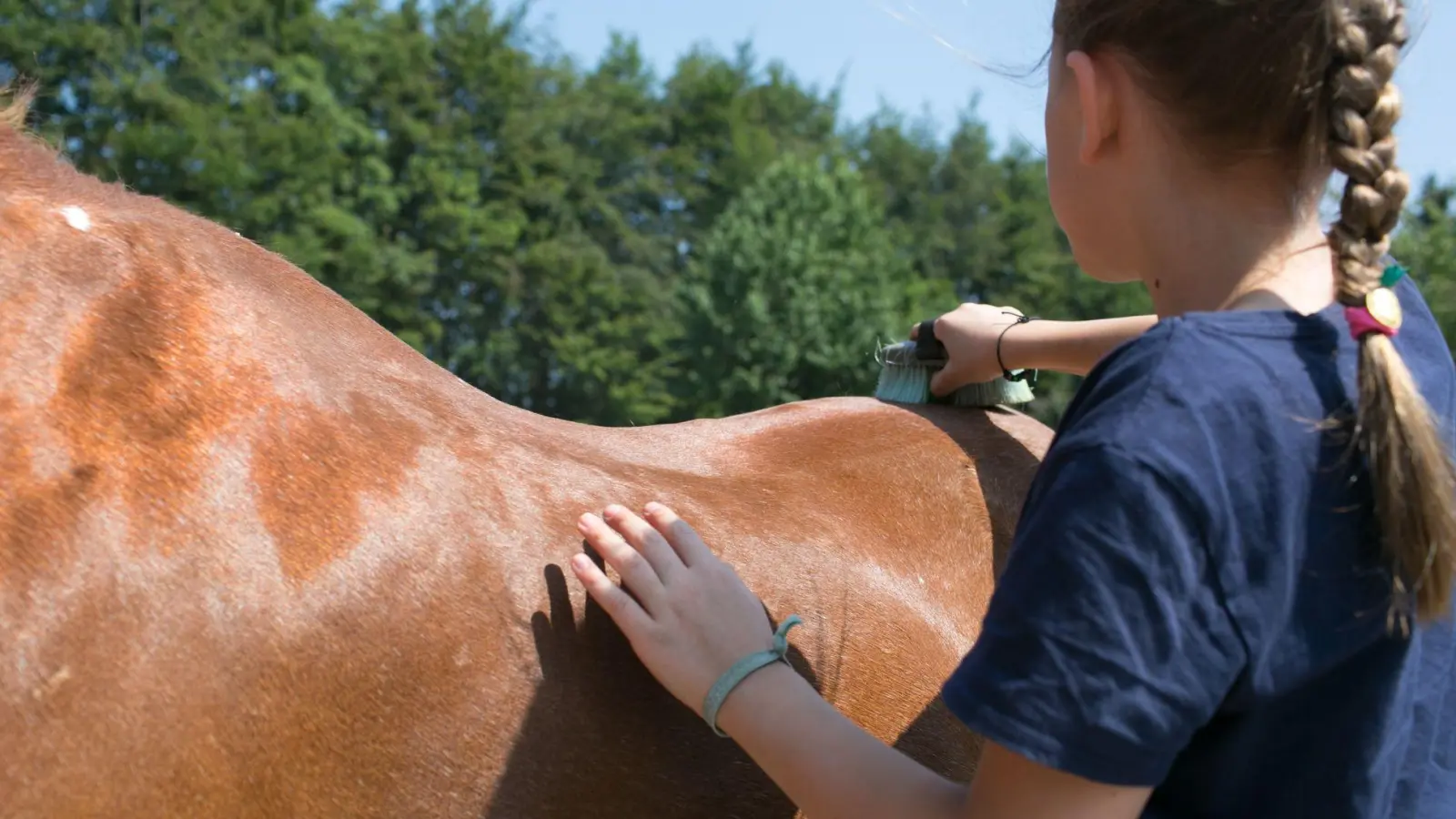 Regelmäßige Pflege: Eine Reitbeteiligung hat auch Vorteile für das Pferd. (Foto: Karolin Krämer/dpa-tmn)