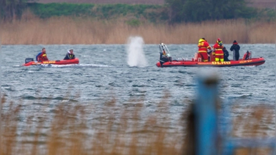 Greenpeace: „Der Stress für das Tier ist enorm.“ (Foto: Jens Büttner/dpa)