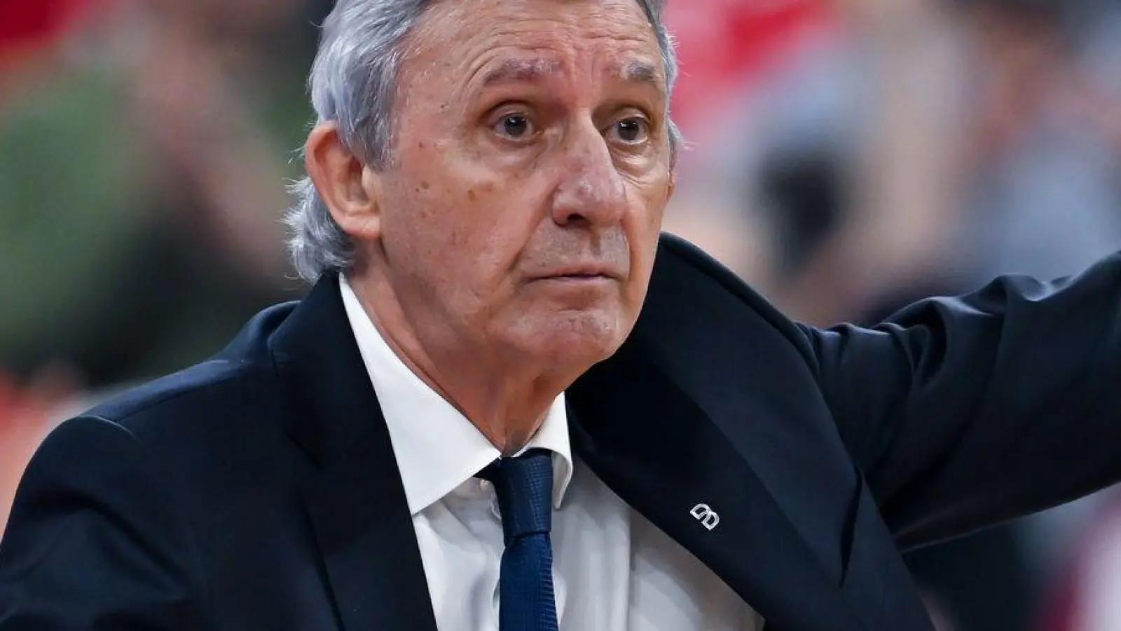 Bayern-Trainer Svetislav Pesic gibt am Spielfeldrand Anweisungen an sein Team. (Archivbild) (Foto: Sven Hoppe/dpa)