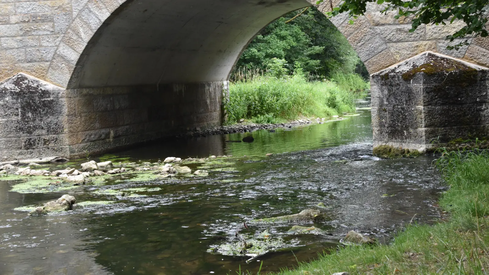 Wasserschutz ist essenziell, um die Ressourcen zu bewahren und die Umwelt zu schützen. (Foto: Silvia Schäfer)