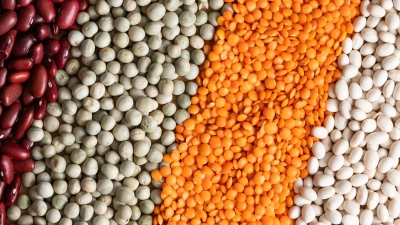 Die Kombination verschiedener pflanzlicher Eiweißquellen sorgt dafür, dass alle essenziellen Aminosäuren aufgenommen werden. (Foto: Silas Stein/dpa/dpa-tmn)