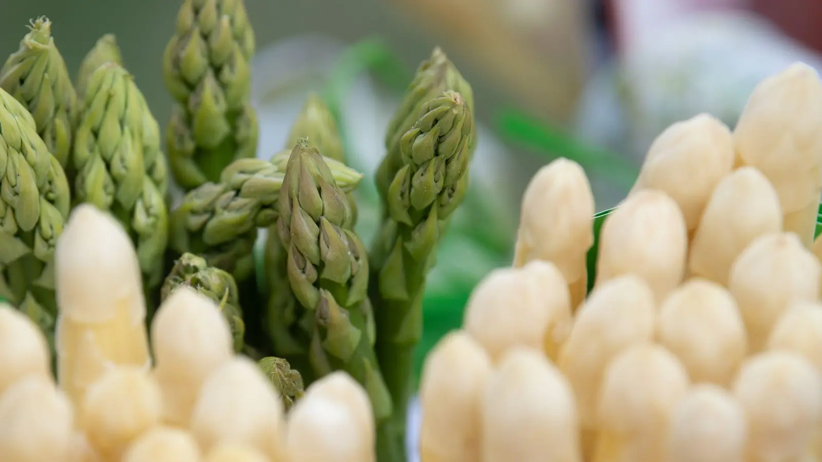 Grüner und weißer Spargel aus regionalem Anbau stecken in einem Korb. (Foto: Sebastian Christoph Gollnow/dpa)