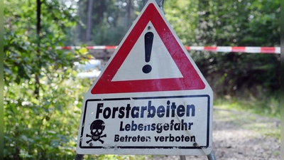 Trotz Absperrband und Warnschildern kam es zum tödlichen Unfall bei Forstarbeiten. (Symbolbild) (Foto: Hendrik Schmidt/dpa-Zentralbild/ZB)