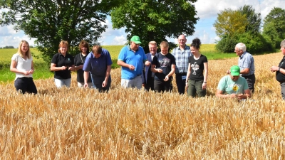 Fachleute des Bauernverbandes und des Amtes für Ernährung, Landwirtschaft und Forsten überprüfen bei Ohrenbach die Reife der Wintergerste. (Foto: Fritz Arnold)