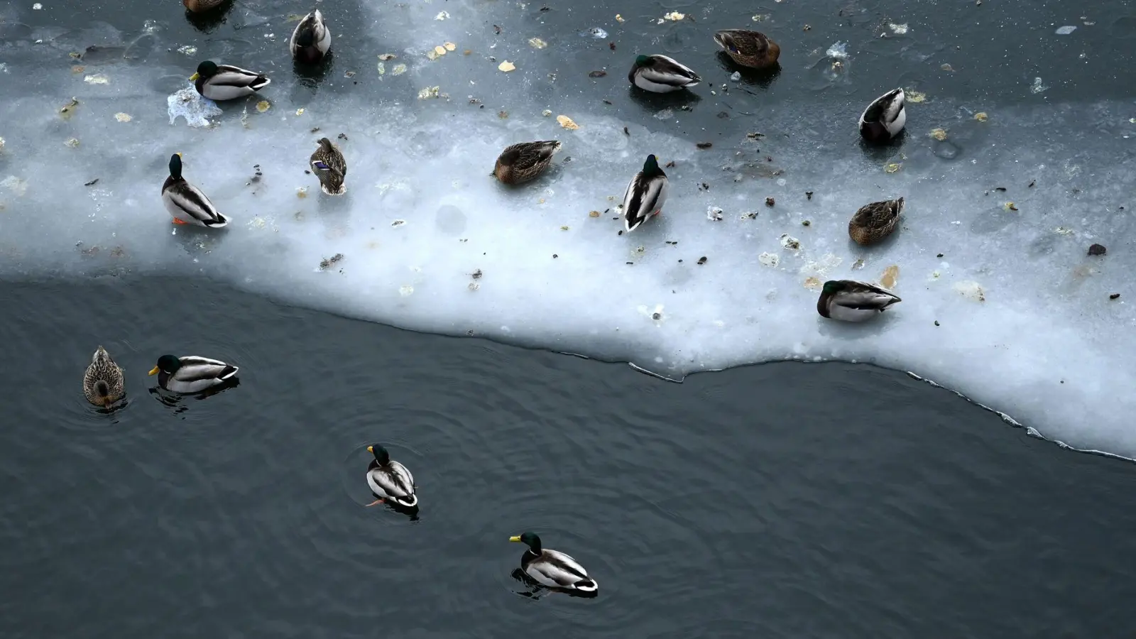 Nun steht vor allem dem Osten Deutschlands Glatteis-Gefahr bevor. (Foto: Elisa Schu/dpa)