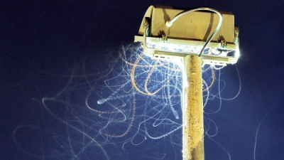 Schön anzuschauen - für Insekten allerdings eine tödliche Falle. (Symbolbild) (Foto: Fredrik Von Erichsen/dpa)