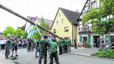 Am Samstag sind die Ortsburschen an der Reihe. Um 15 Uhr werden sie ihre Kirchweihfichte vor dem Gasthaus „Zur Goldenen Traube“ in die Senkrechte bringen. (Foto: Corinna Winter)