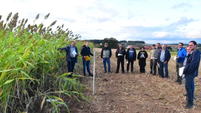 Stieß auf großes Interesse: Die Führung am Hirse-Versuchsfeld in Bräuersdorf mit Reinhold Weber und Daniel Ströbel (links) und Landwirt Siegfried Mexer (rechts). (Foto: Fritz Arnold)