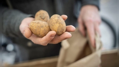 Aus der Kasse des Kartoffelhäuschens wurden 30 Euro entwendet. (Foto: Frank Rumpenhorst/dpa-tmn)