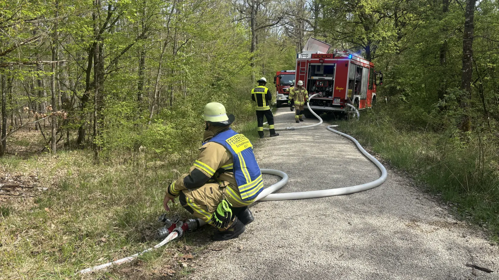 Auf dem Bocksberg bei Ansbach kam es am Montag zu einem Waldbrand.  (Foto: NEWS5 / Kevin Weddig)