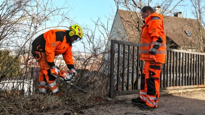 Landschaftsgärtner Matthias Winter (links) schneidet mit der Kettensäge das rostige Geländer an der Ludwigshöhe frei, Helferin Sabine Sachsner schafft das Schnittgut auf den Lastwagen. (Foto: Tizian Gerbing)