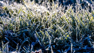 Noch ist es frostig, doch es nähert sich eine Warmfront. (Foto: Jens Büttner/dpa)