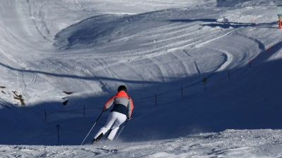 Der Vergleich sieht unter anderem die Sperrung eines Areals für Wintersportler vor - zum Schutz von Birkhühnern. (Archivbild) (Foto: Karl-Josef Hildenbrand/dpa)